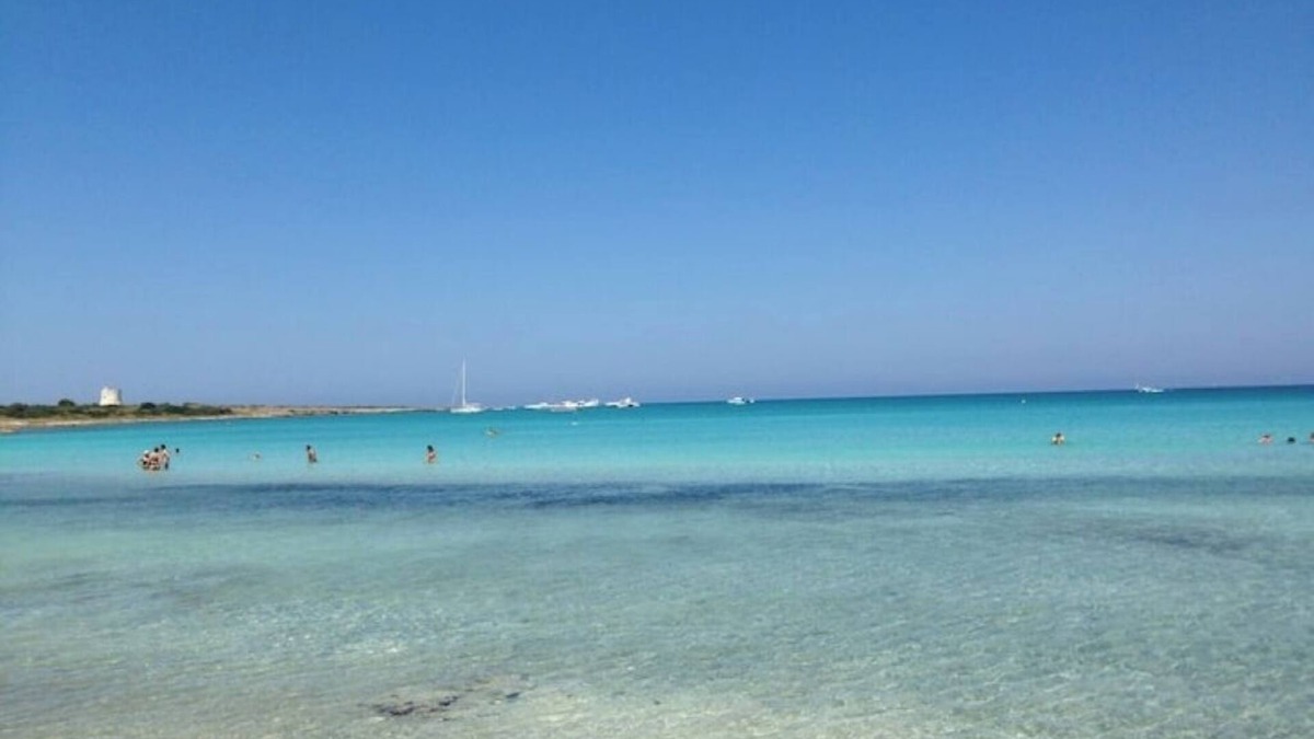 Racale Villa | Villa between sea, forest and views