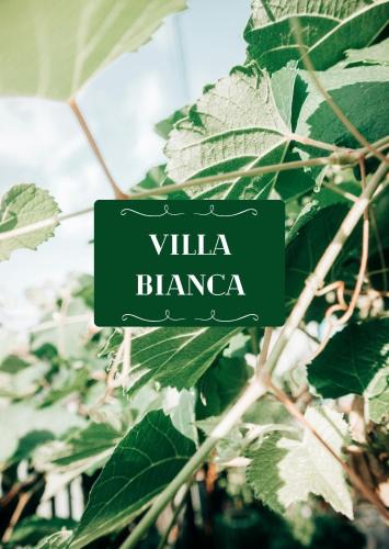 Elsenfeld Apartment | Villa Bianca - Holiday & Business