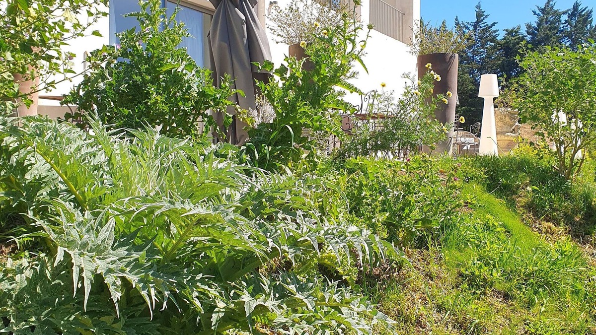 Arles House | Villa Blanche