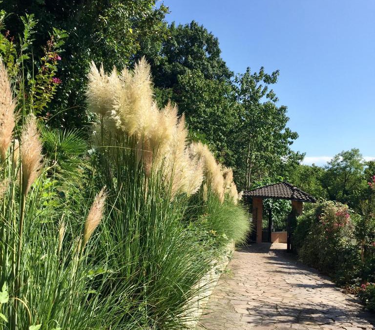 Briona House | Villa Caramino