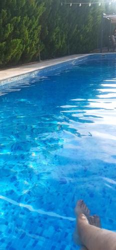 Argamasilla de Alba Villa | Villa Castellanos