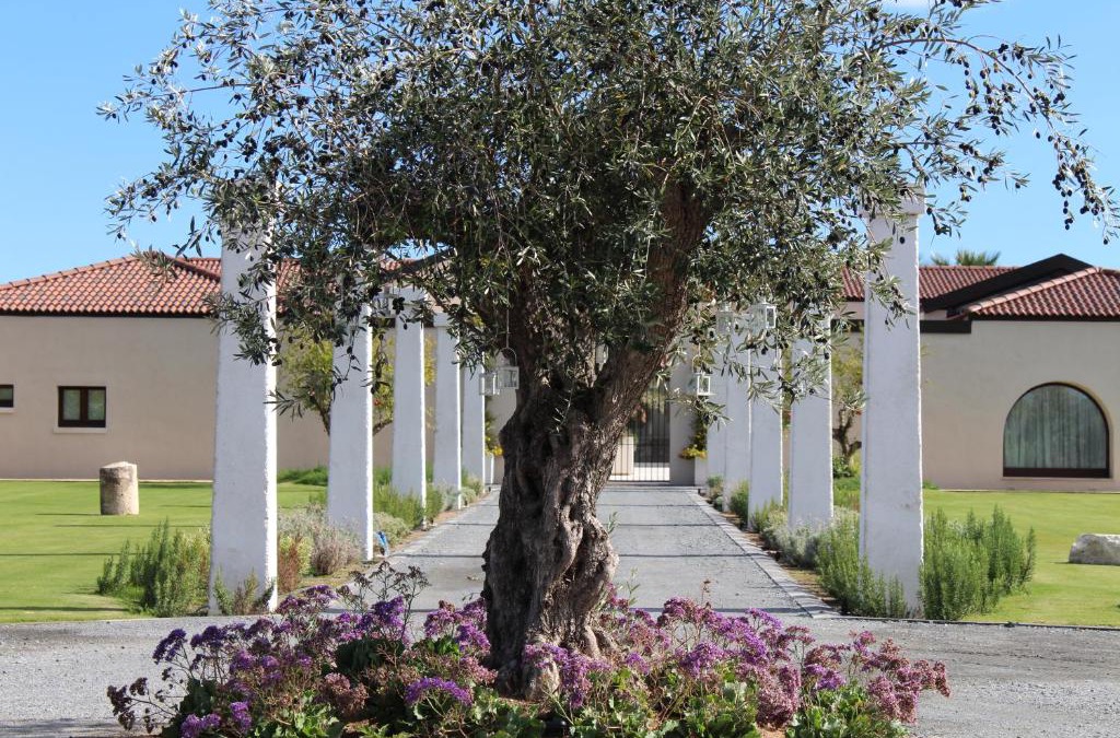 Maddalenedda Villa | Villa Corte Maddalena
