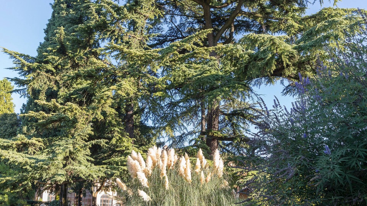 Sona Villa | Villa Dei Cipressi, near Lake Garda, Verona and Gardaland