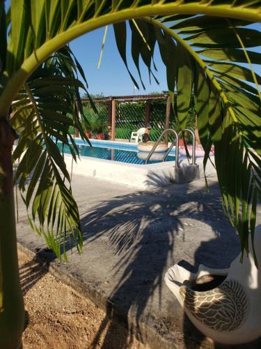 Barra de Potosi House | Villa del Sol