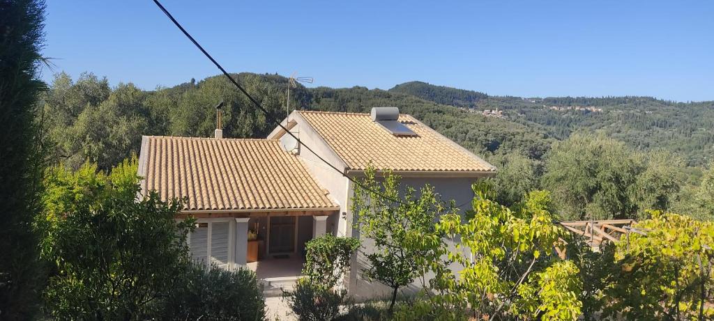 Aleimmatades Villa | Villa Ewa