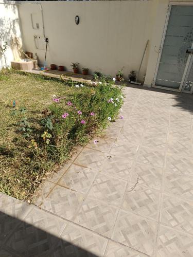Flamants roses Villa | Villa foundou gammarth