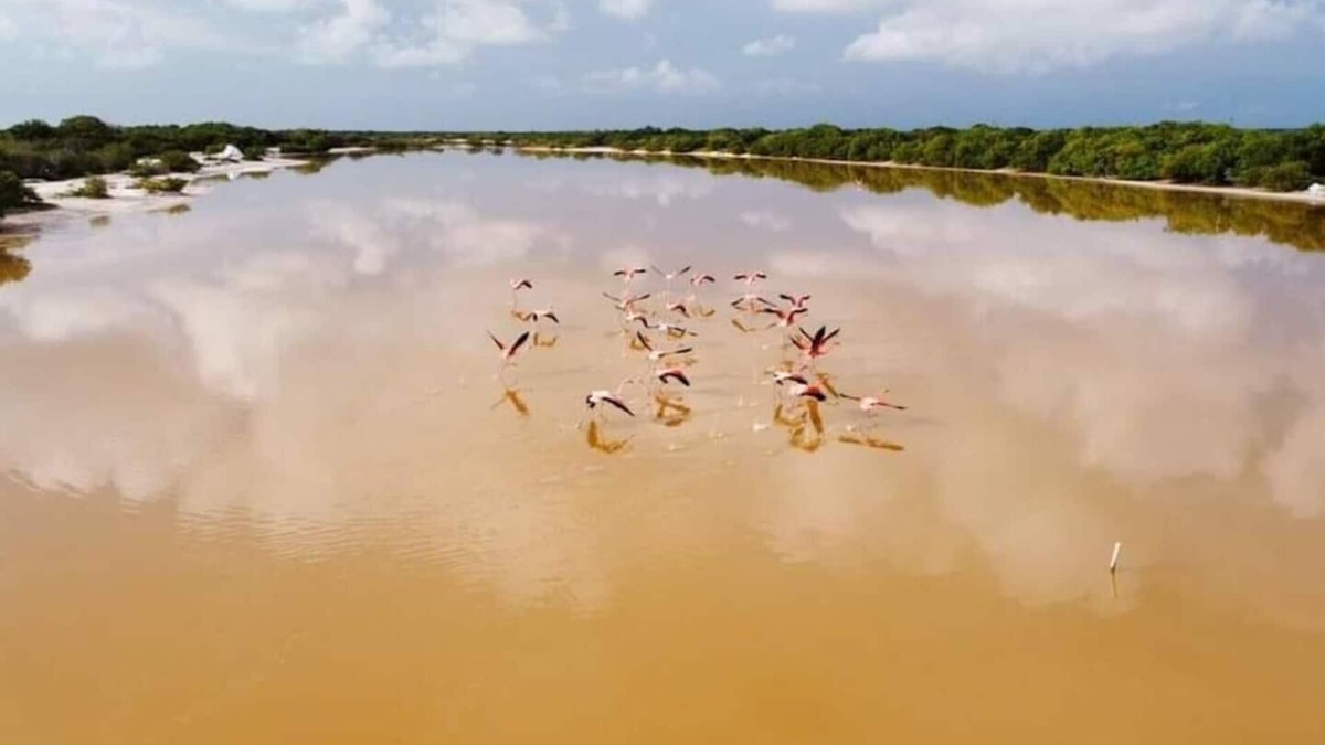 Celestun Apartment | Villa Gabriela #3 Cozy room 3 min from the beach