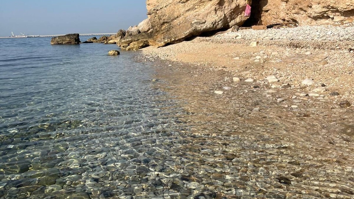 Monte Sant'Angelo Villa | Villa immersed in the green of the ancient olive trees of Gargano