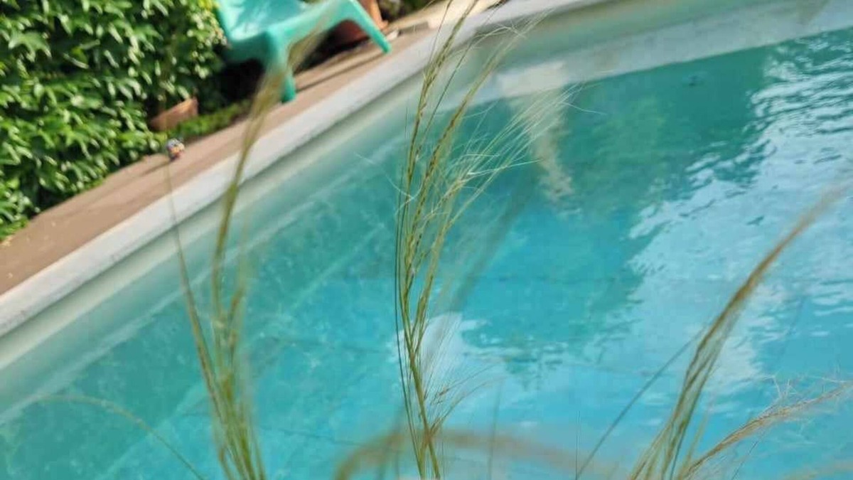 Pernes-les-Fontaines Villa | VILLA in Provence with swimming pool
