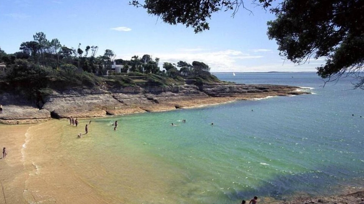 Vaux-sur-Mer House | Villa l'Olivier, Chambre d'Hôtes Les Volets Bleus