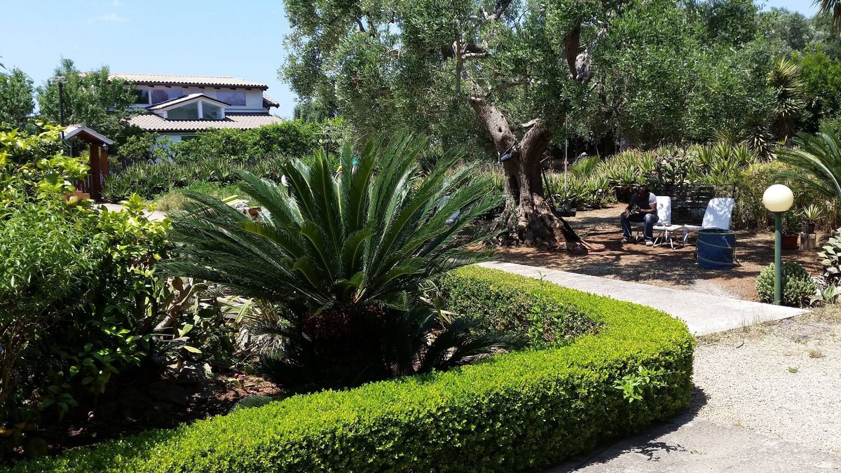 Copertino Villa | Villa Le Radici with jacuzzi 5 minutes from Salento's Caribbean sea
