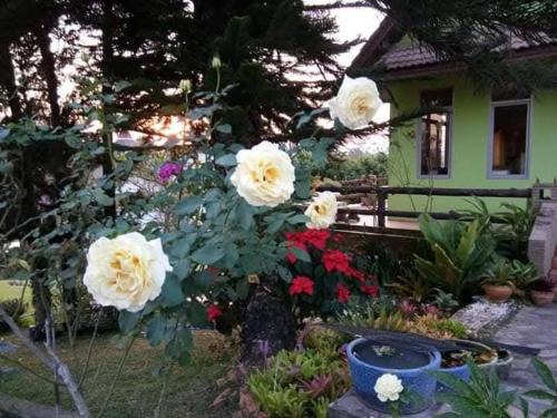 Khaem Son House | Villa Lek Noi 2