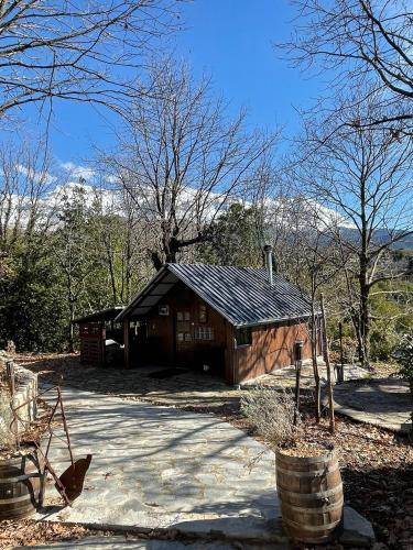 Ramia Villa | Villa Lochia - Η καλύβα του Τρύφωνα
