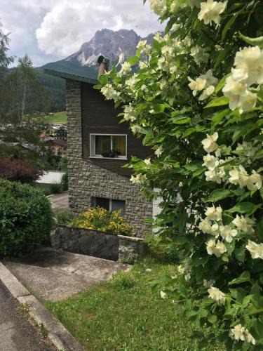 Padola Apartment | Villa Lucia appartamento Fiore