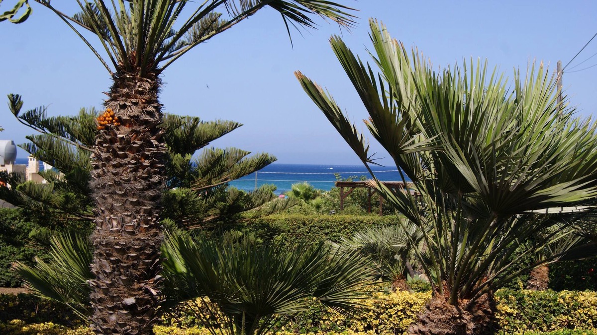 Pachino Villa | Villa Milena -Sicily