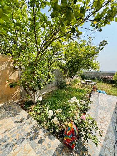 Aguelmam Azegza Villa | Villa Mouloud, arougou khenifra