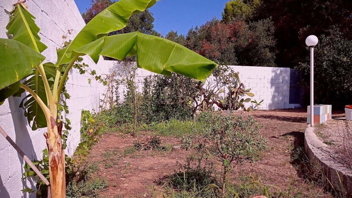 Roca Vecchia Villa | Villa "Oasi" in Roca Vecchia, detached house with large garden.