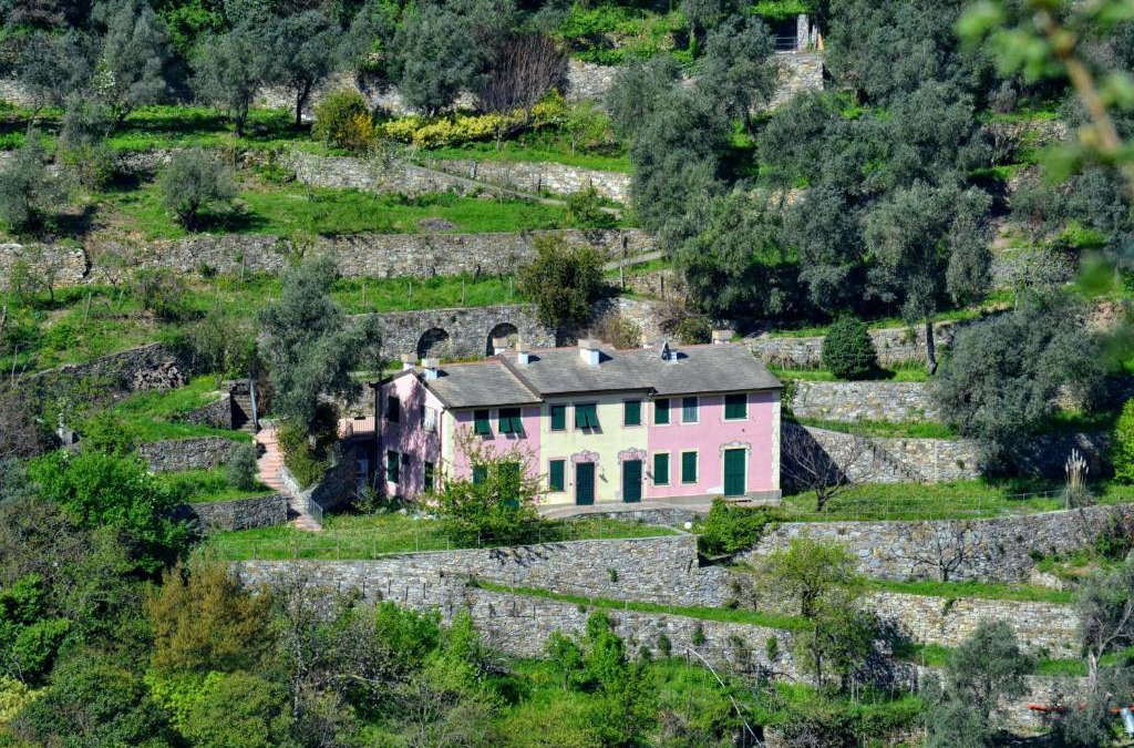 San Rocco Apartment | Villa Olivari - apt la Lavanda