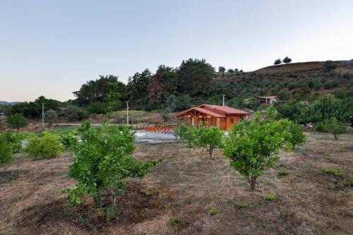 Olympos Villa | Villa Olymposgarden