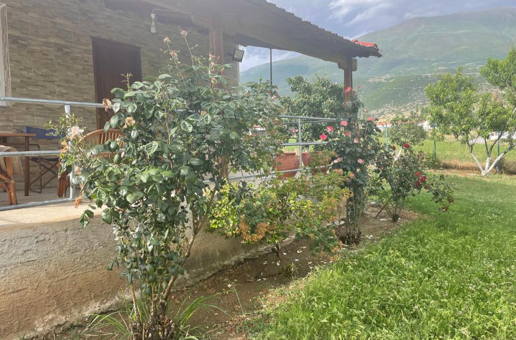 Elassona House | Villa Olympus