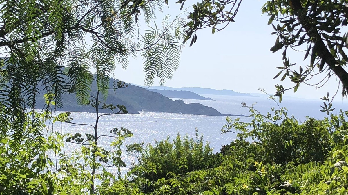 Ile du Levant House | Villa on an island paradise. Location/rental/Miete villa Ile du Levant