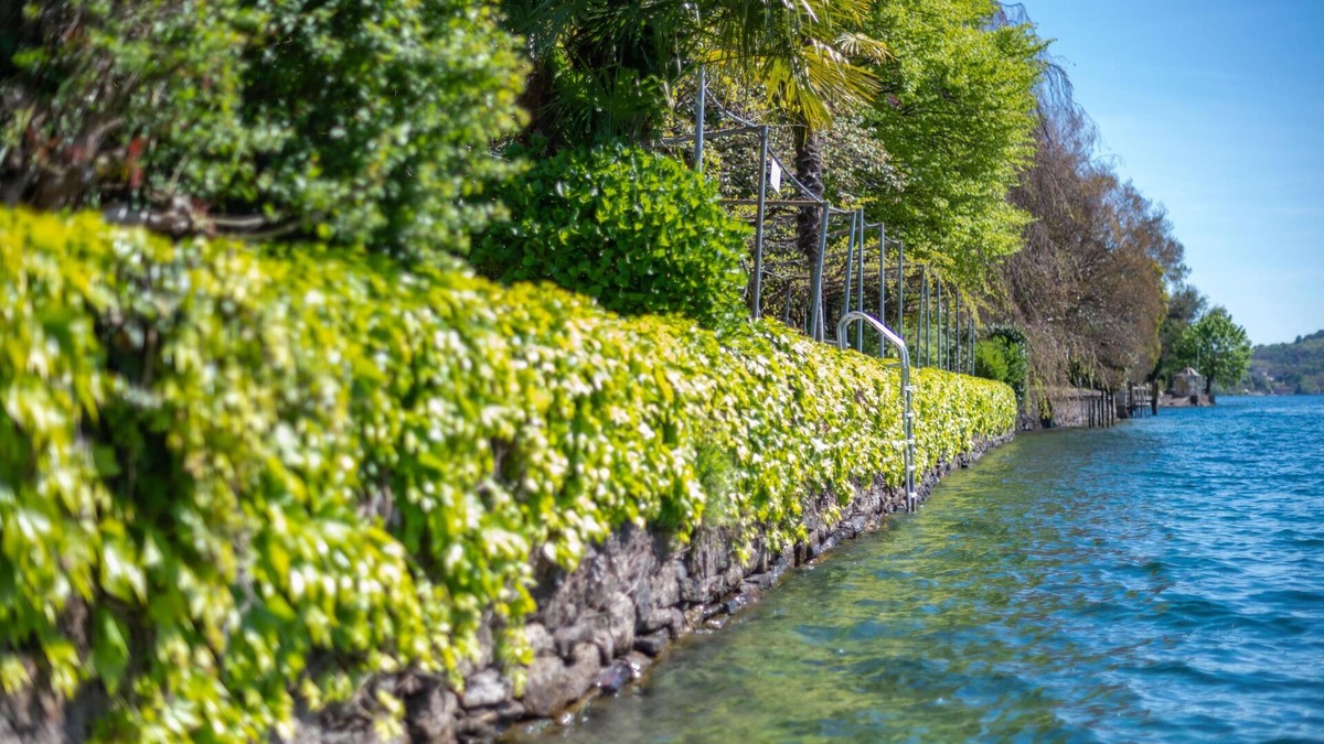 Orta San Giulio Apartment | Villa Orta Apartment 1A