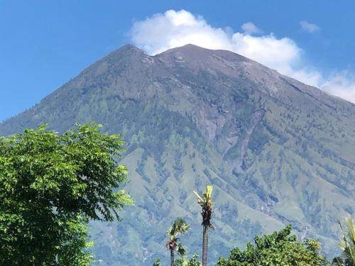 Purwakerti Cabin | Villa Rosa