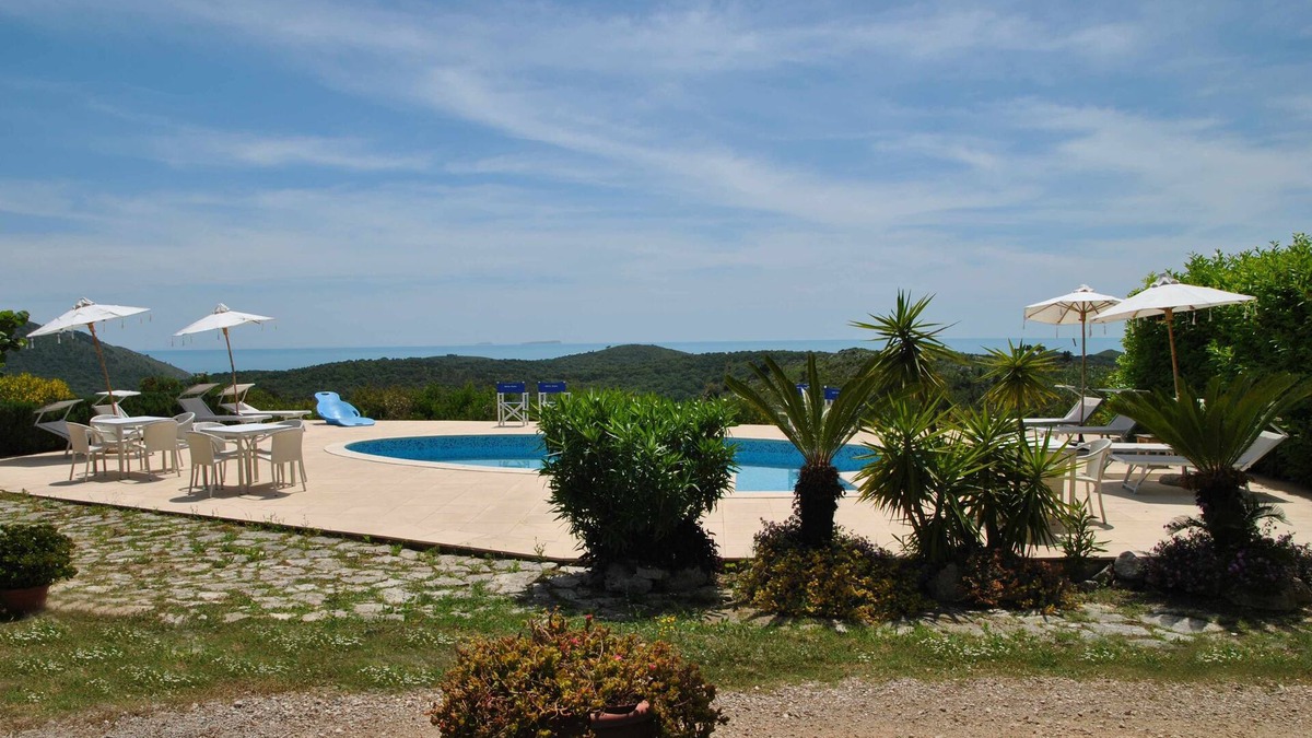 Itri House | Villa Saha beautiful mansion surrounded by olive trees