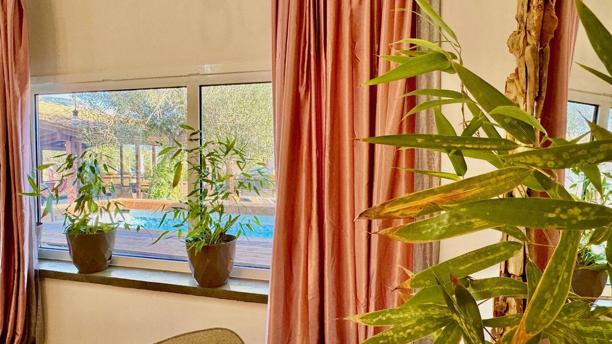 Dassia Villa | Villa Sophia Central with private plunge pool