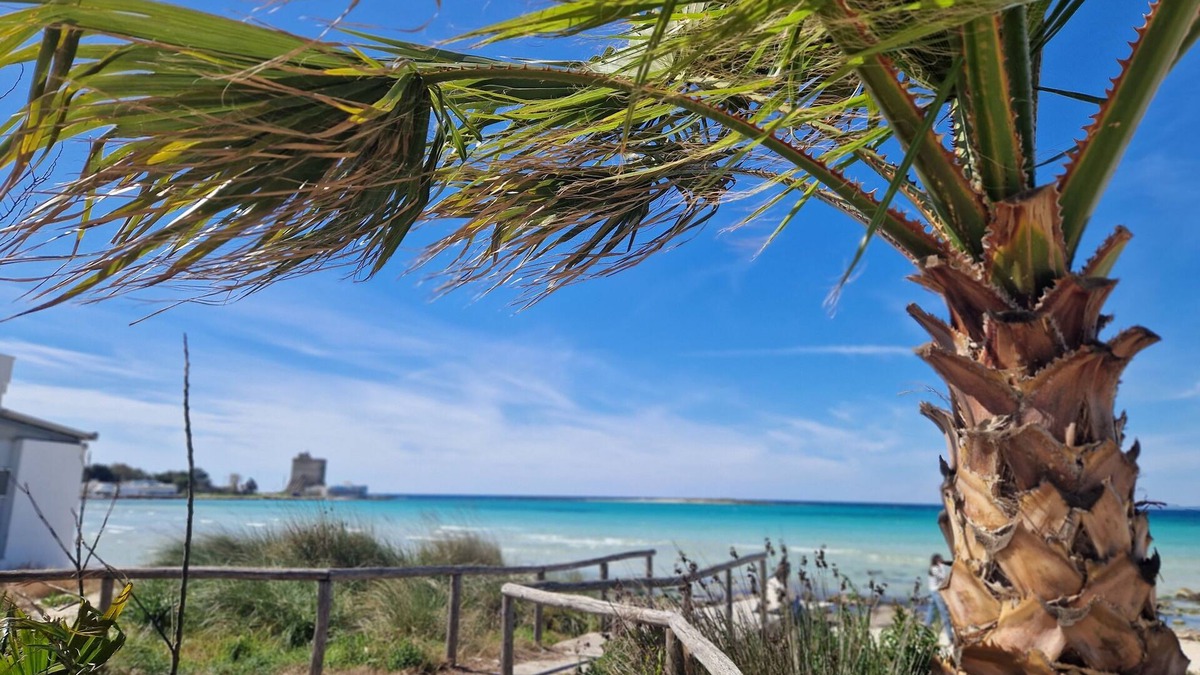 Torre Squillace Villa | Villa Turquoise Sant'Isidoro - NordSudCasaVacanza