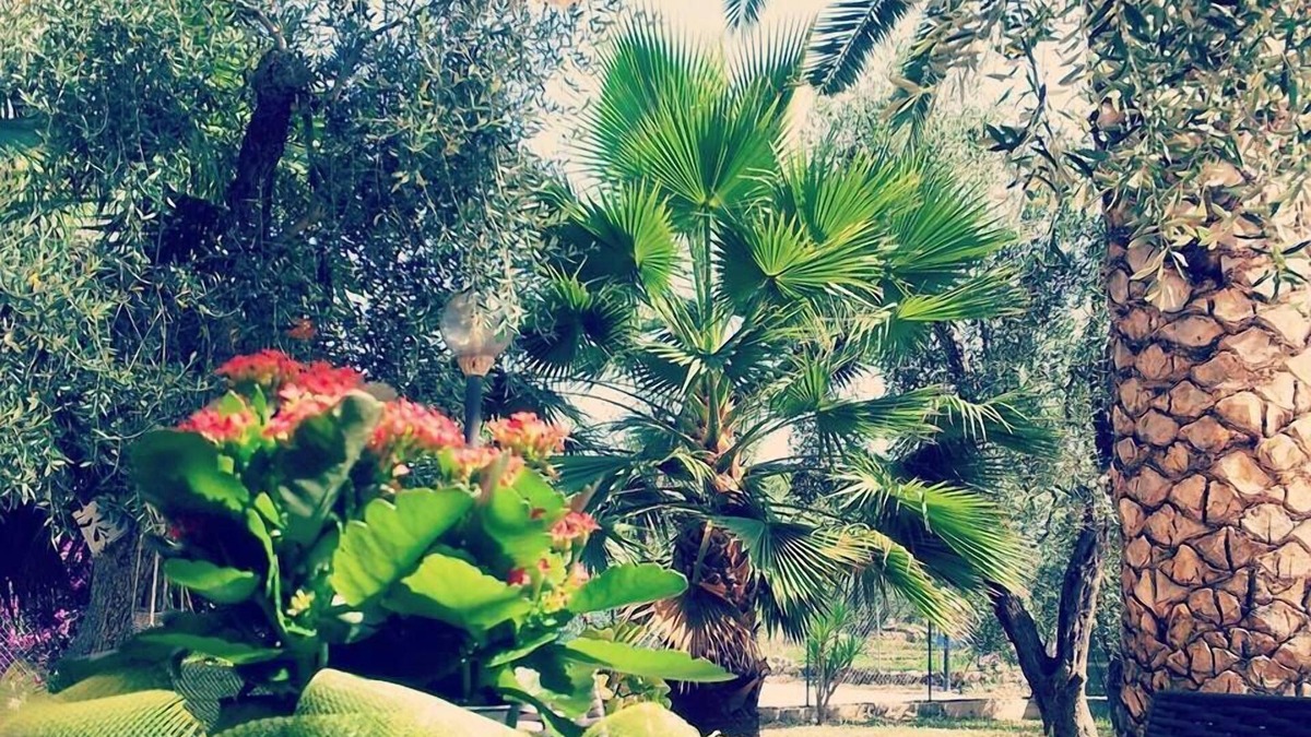 Defensola Bed & Breakfast | Villa Vale Mery