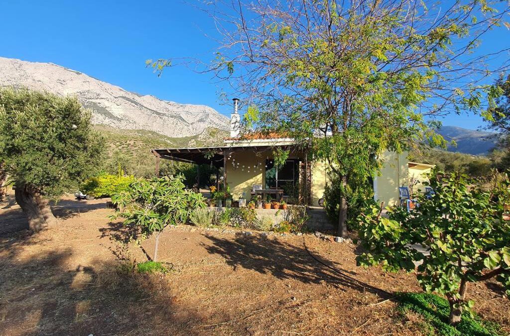 Kampos Marathokampou Villa | Villa Votsalakia
