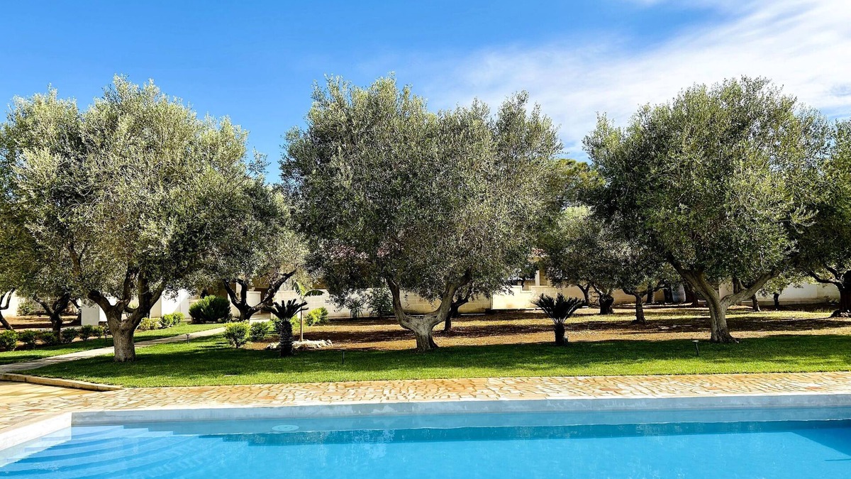 Manduria Villa | Villa with pool surrounded by olive trees in salento