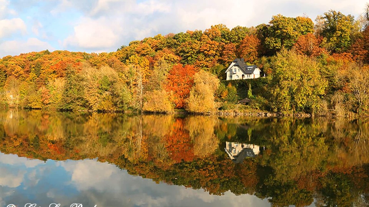 Heer Villa | Villa with an exceptional view of the Meuse in a 20-hectare natural setting