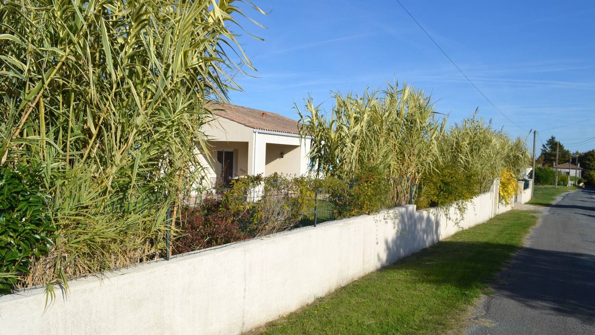 Mortagne-sur-Gironde Villa | Villa With Heated Private Pool