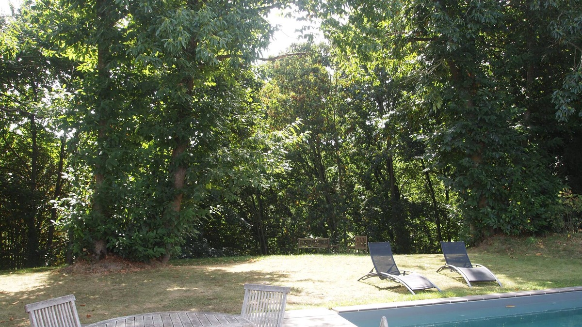 Taden Villa | Villa with heated pool and balneotherapy facing the forest