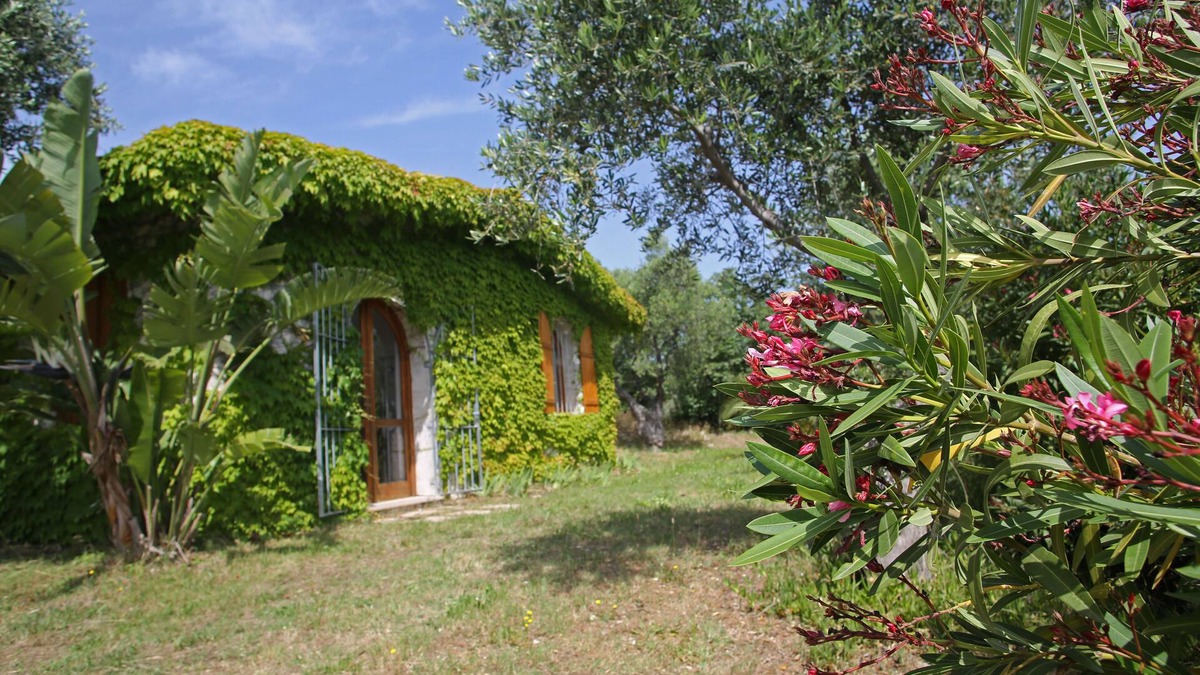 Vieste Villa | Villa with large garden and panoramic view, near the sea