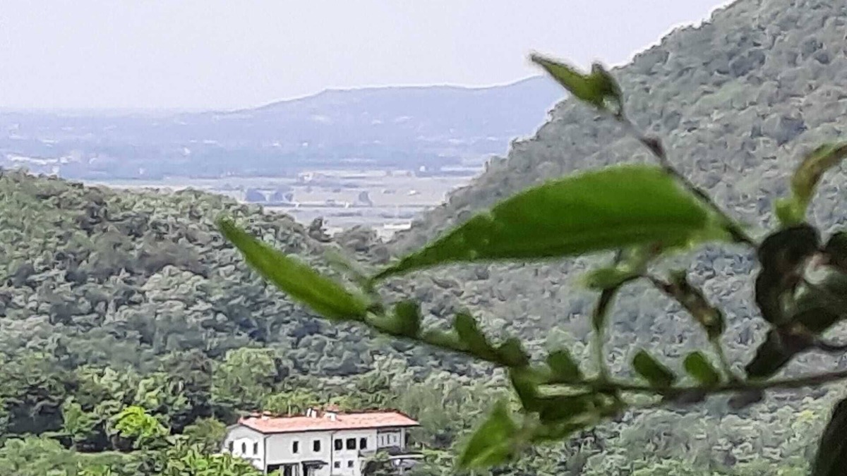 Vo House | Villa with park and swimming pool in the Euganean Hills heart