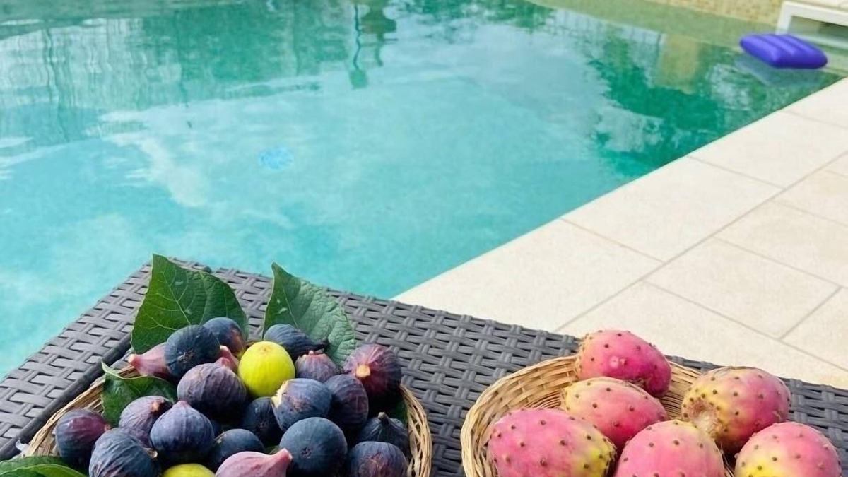Specchiolla House | Villa with private pool - sea view near WWF natural oasis