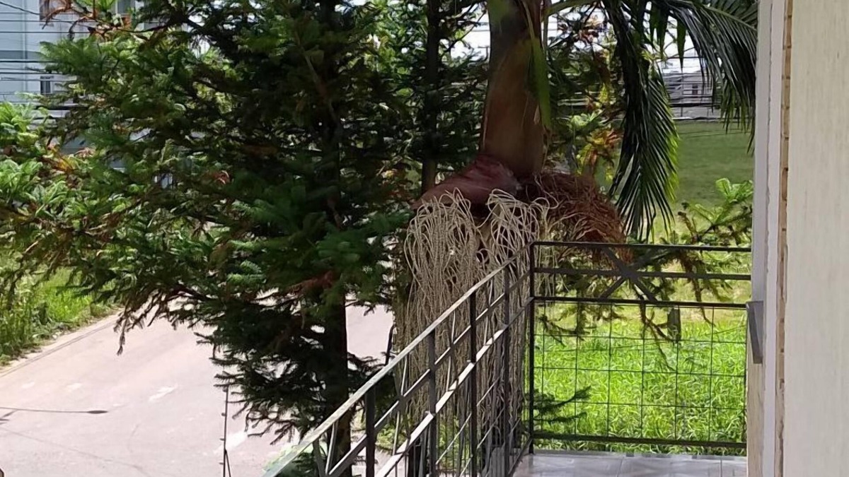 Sao Jose Hotel | Ville House Hotel Canoas