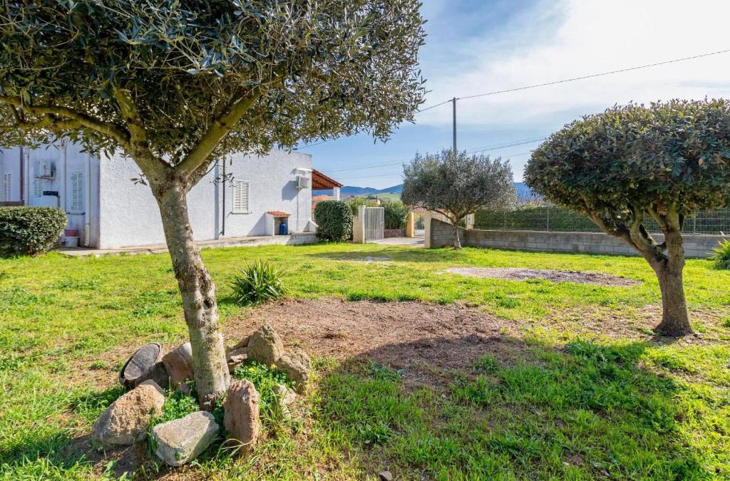 Palmadula House | Villetta I Pitosfori