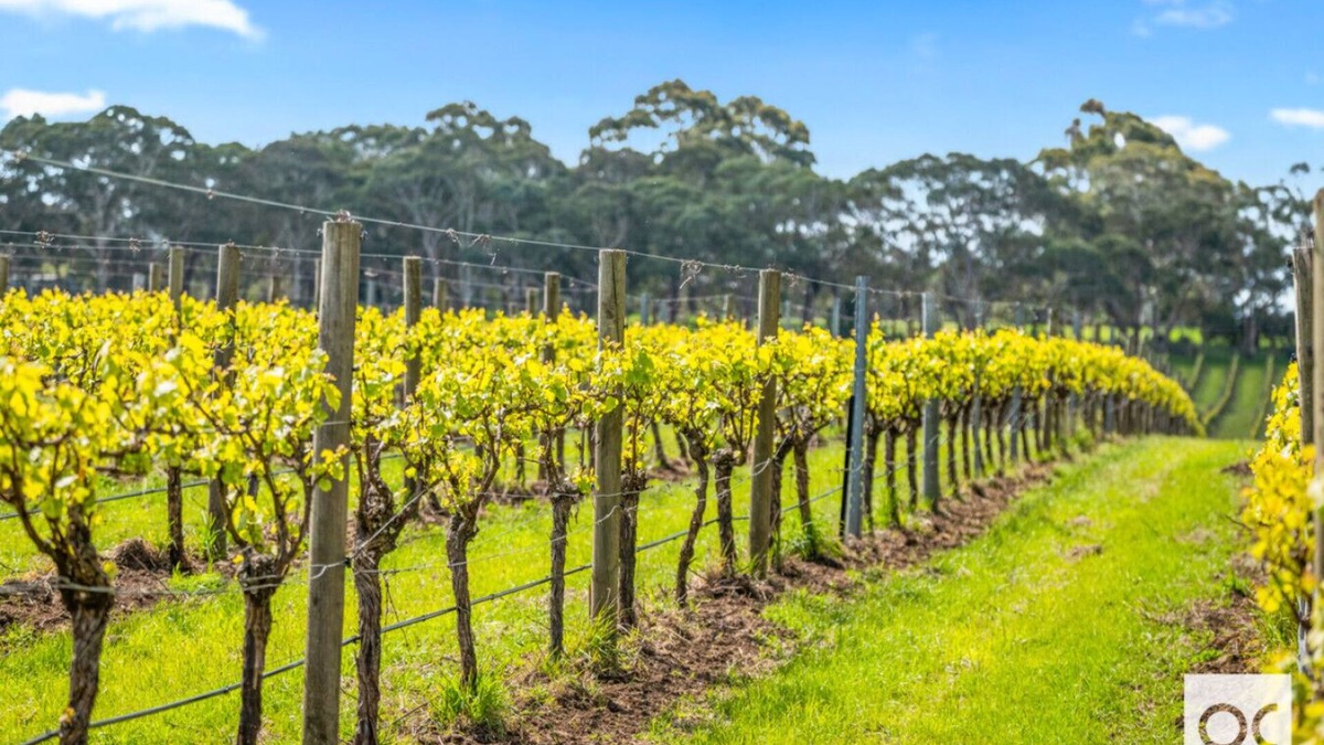 Kuitpo House | VineView - a hidden oasis