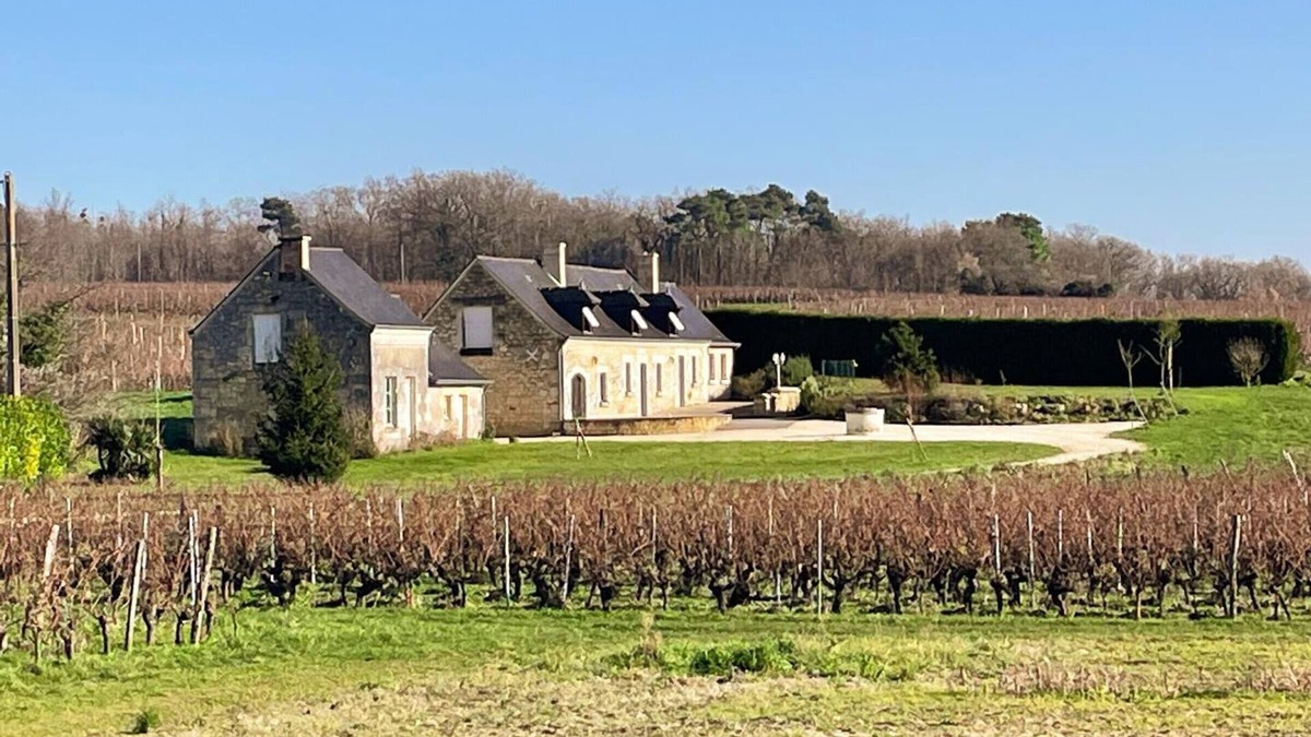 Benais Cottage | Vineyard cottage, all-inclusive, garden & bikes, near Saumur-Chinon-Langeais