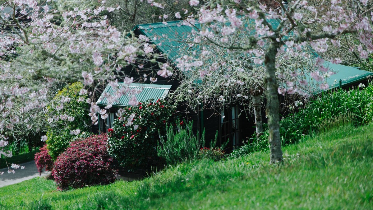 Helensville Cottage | Vineyard Cottages