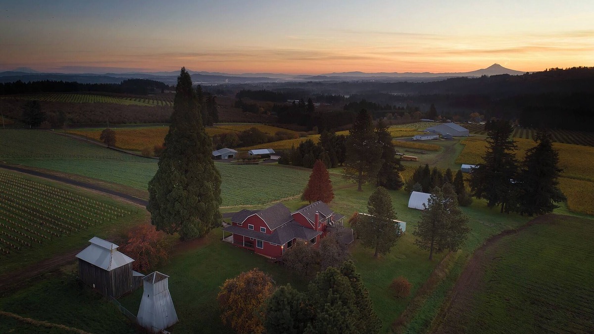 Sherwood Other | Vineyard Farmhouse Stay with Mt. Hood Views. Spacious and Ideal for Large Groups