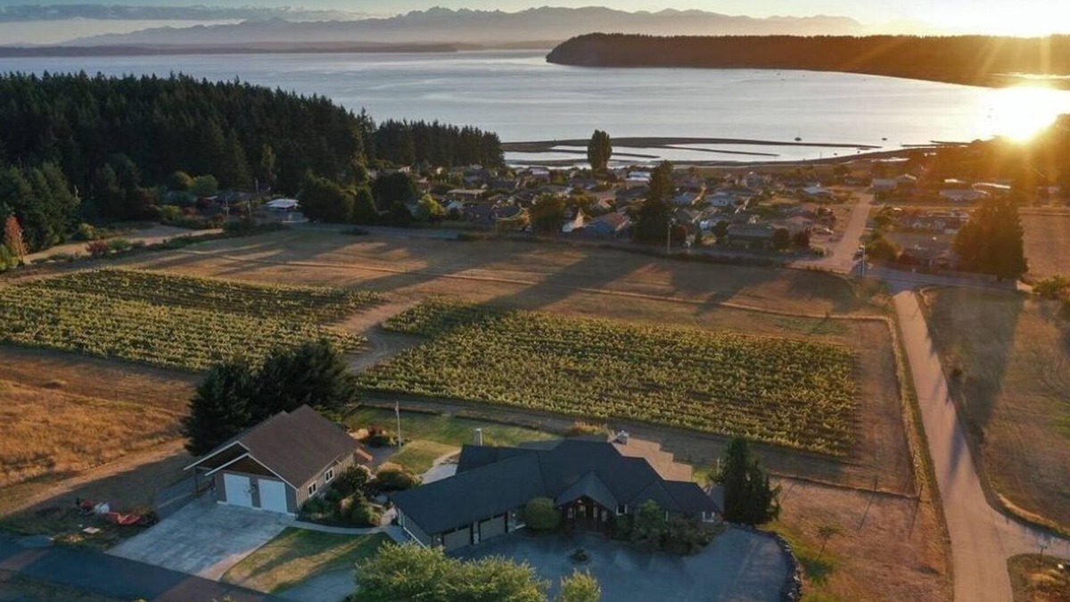 Clinton Villa | Vineyard Villa + Guesthouse/Swim Spa +Hot tub With A/C