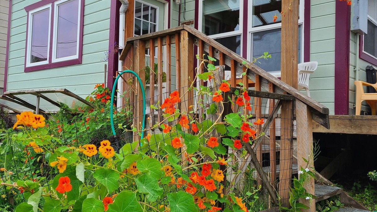 Tenakee Springs Cottage | Visit and relax in Tenakee Springs