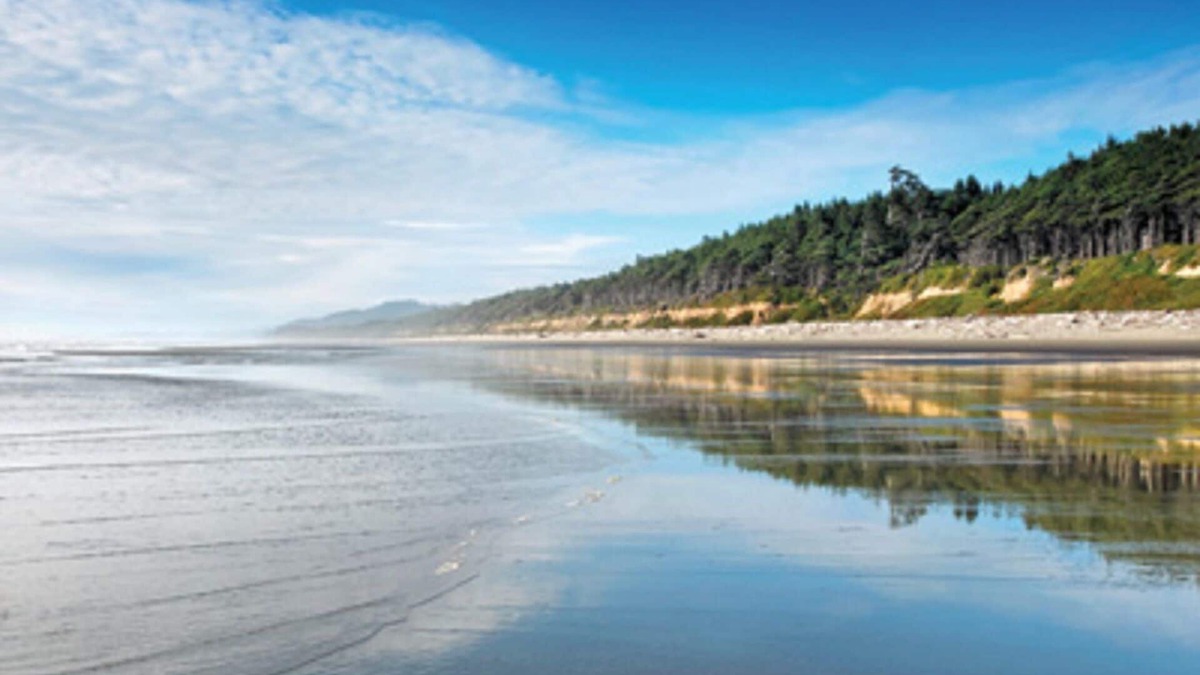 Ocean Park Resort | Visit the beautiful Leadbetter Point State Park & Wildlife Refuge!