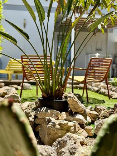San Cataldo Apartment | Vistamare Est e Ovest