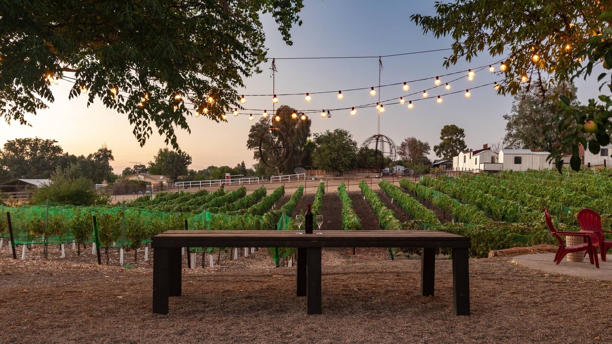 Paso Robles House | Vitara Vineyard, a Modern Farmhouse in the Heart of Wine Country